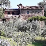 Timignano