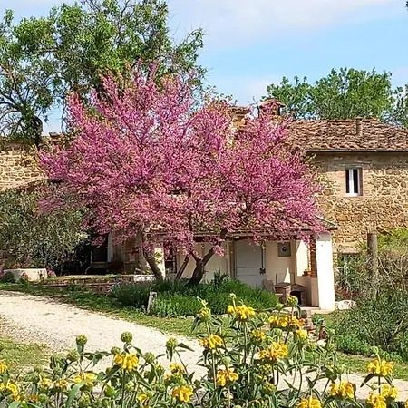 Timignano Lejlighed