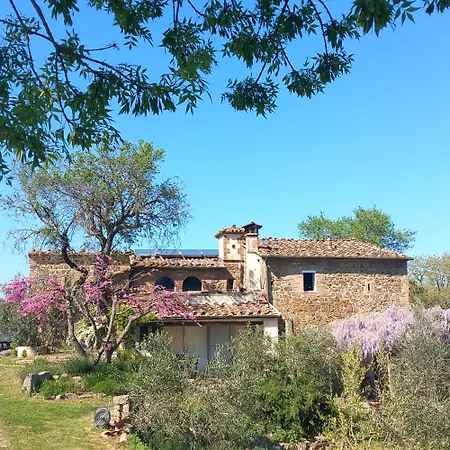 Timignano Monteguidi